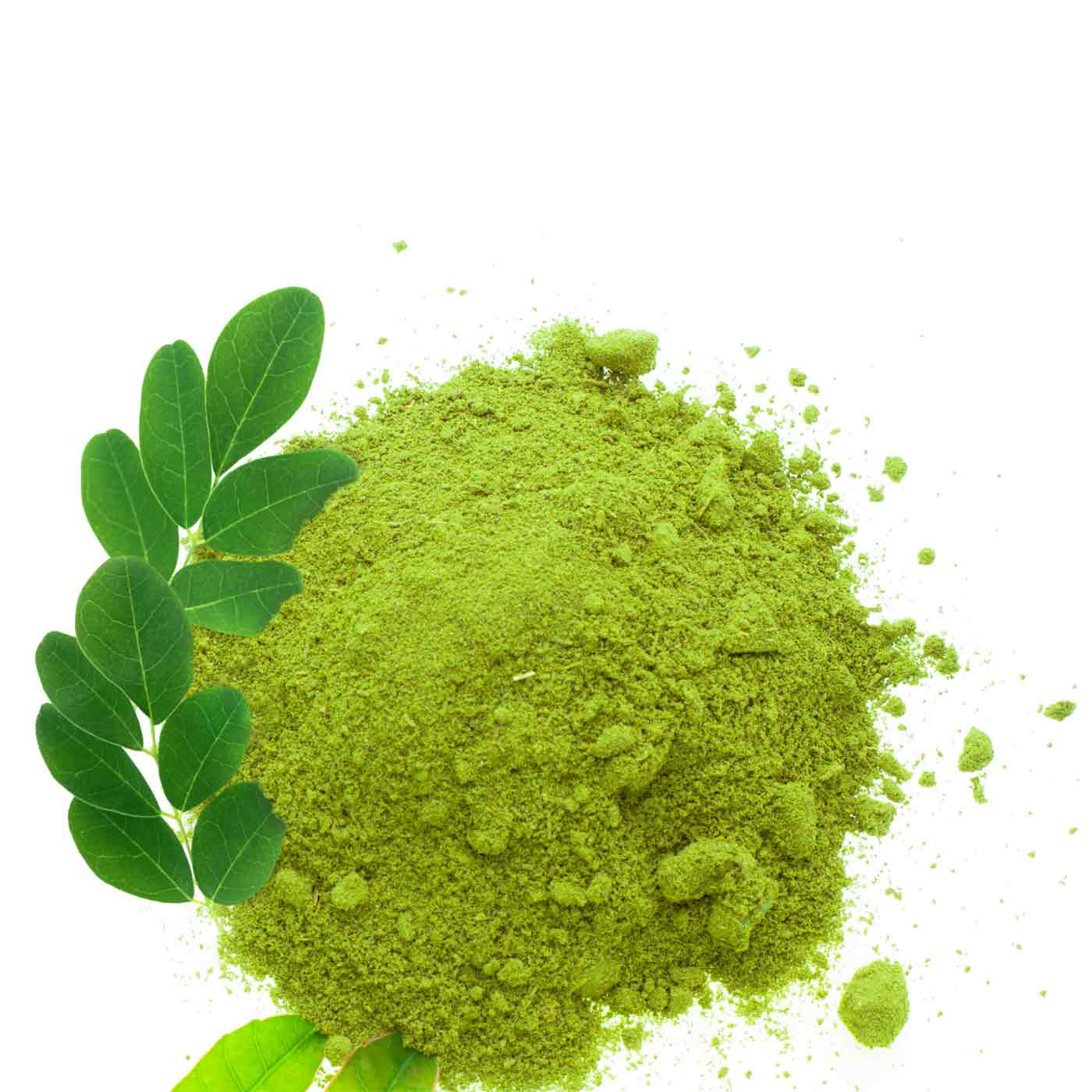 amoseeds-moringa-en-poudre-bio-500g-antioxydant image 6