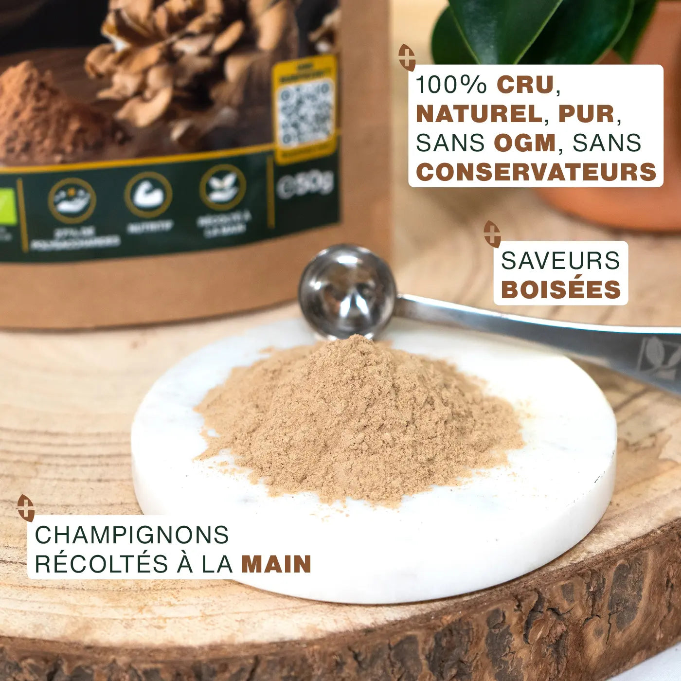 amoseeds-ma-tak-en-poudre-bio-150g-champignon-cuisine image 3