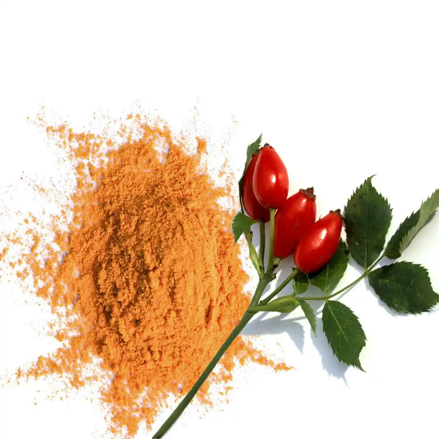 amoseeds-super-aliments-bio-cynorrhodon-poudre-bio-250-g image 5