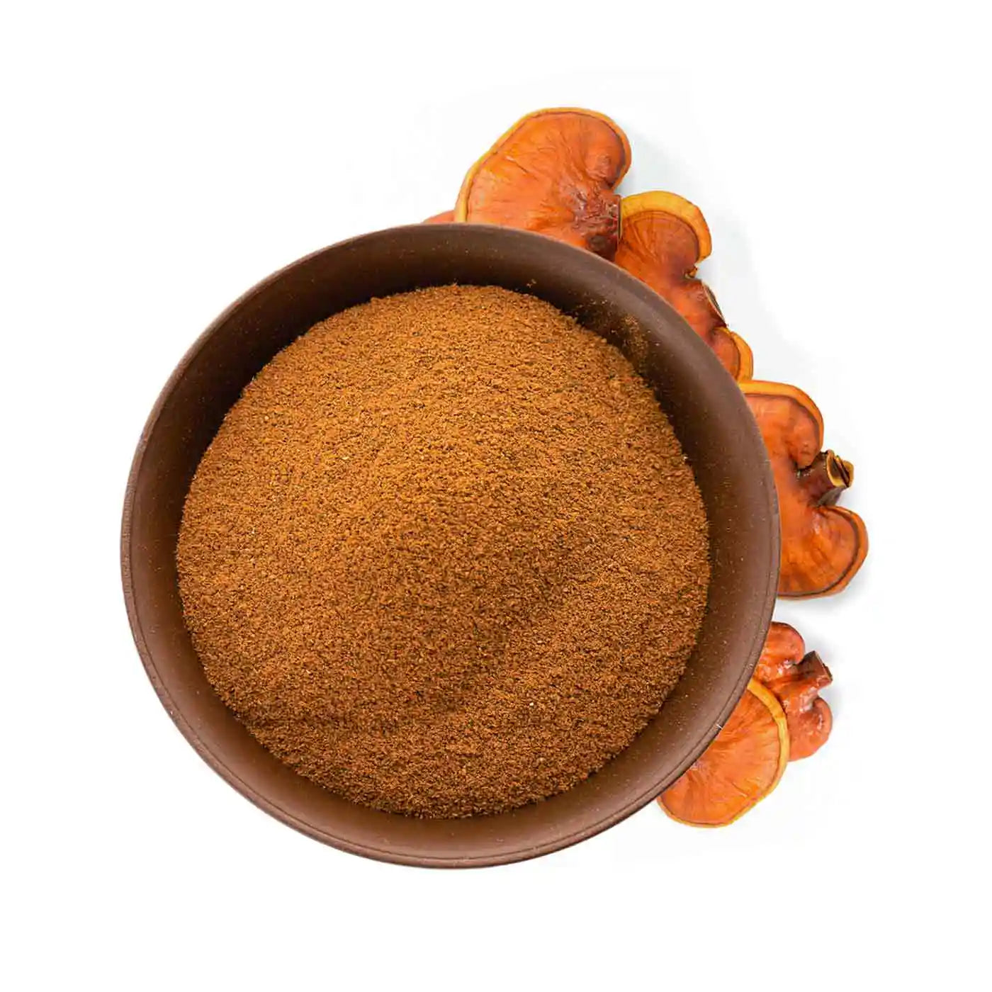 amoseeds-super-aliments-bio-reishi-poudre-bio-50g-immunit image 6