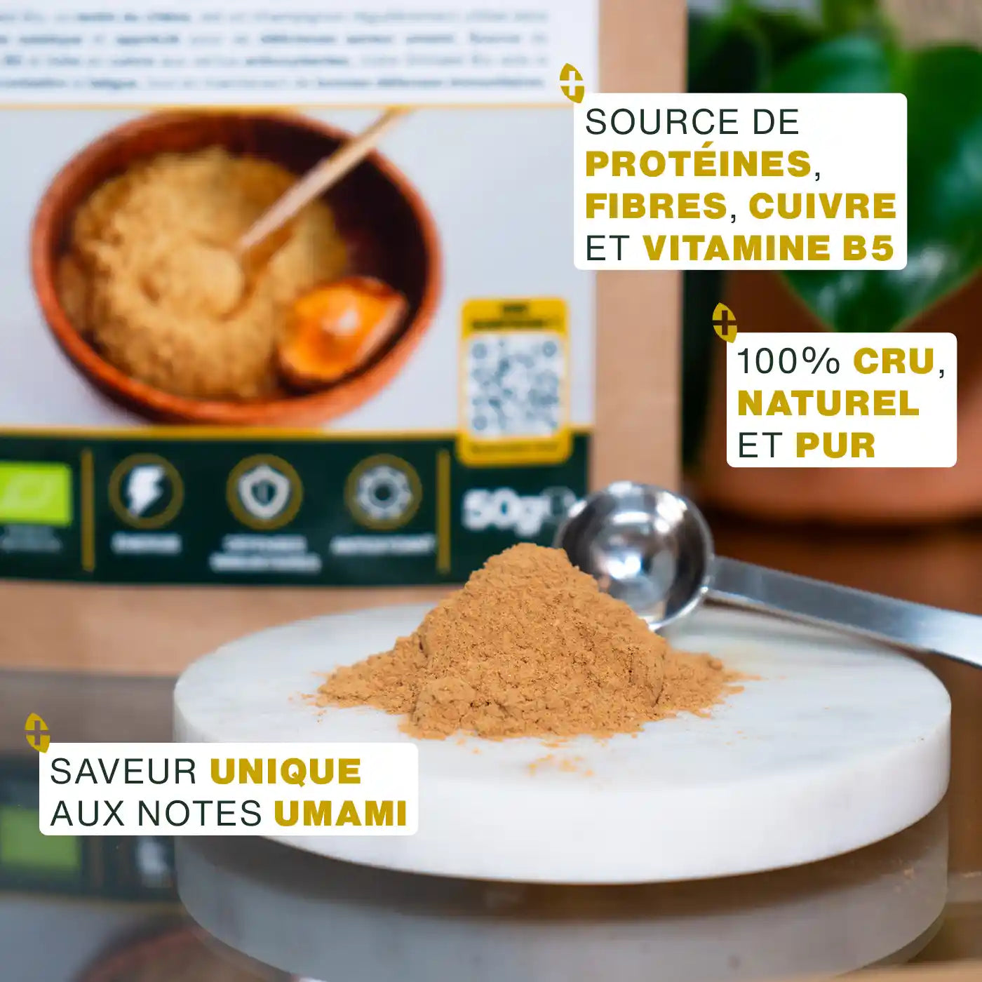 amoseeds-shiitak-en-poudre-bio-150g-cuisine-umami image 4