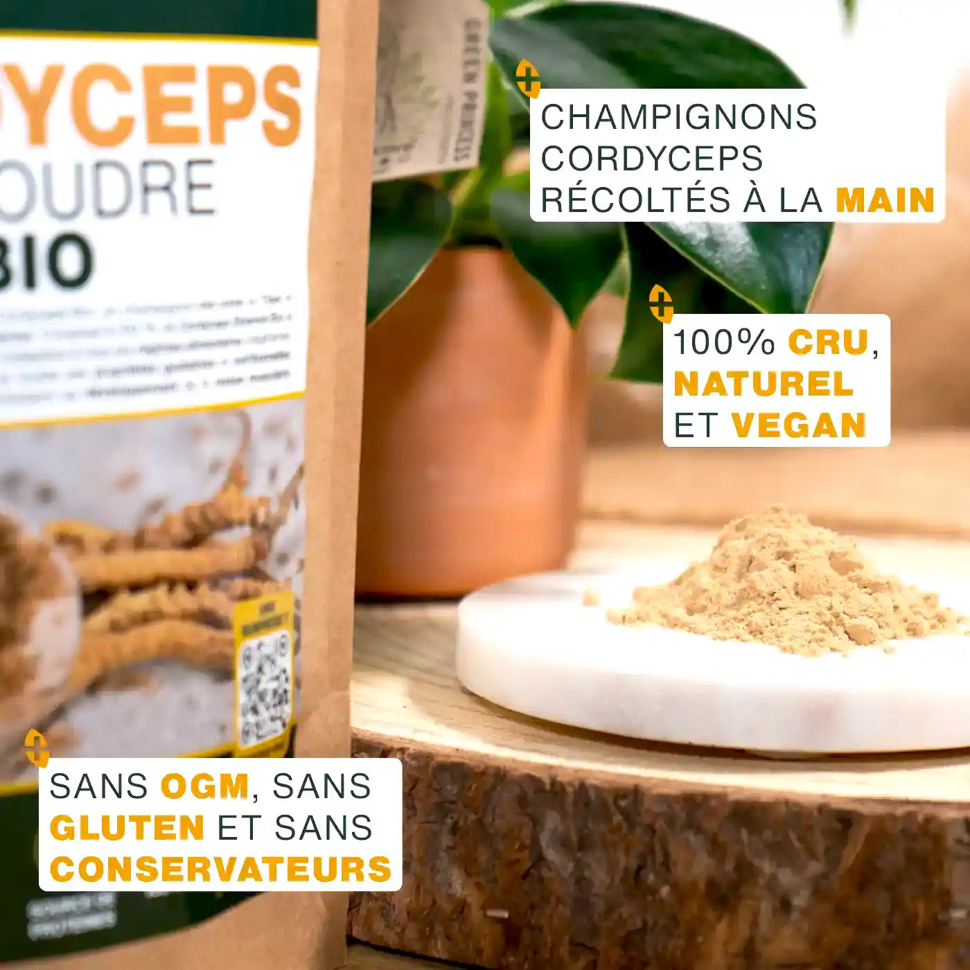 amoseeds-cordyceps-poudre-bio-sport-immunit image 4