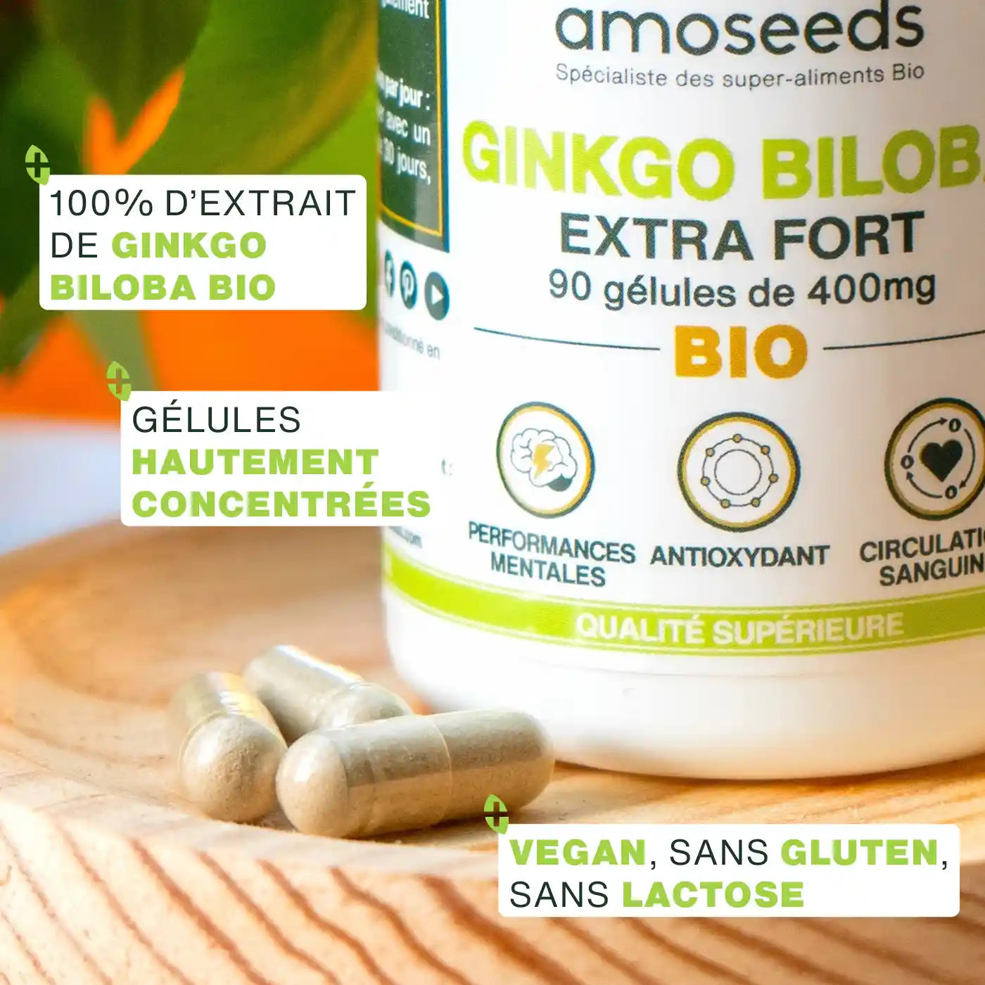 amoseeds-ginkgo-biloba-bio-90-g-lules-m-moire image 3