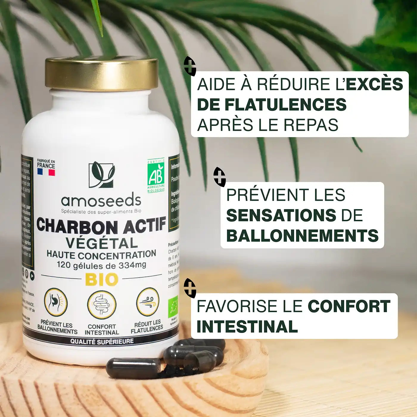 amoseeds-charbon-actif-v-g-tal-bio-120-g-lules-digestion image 2