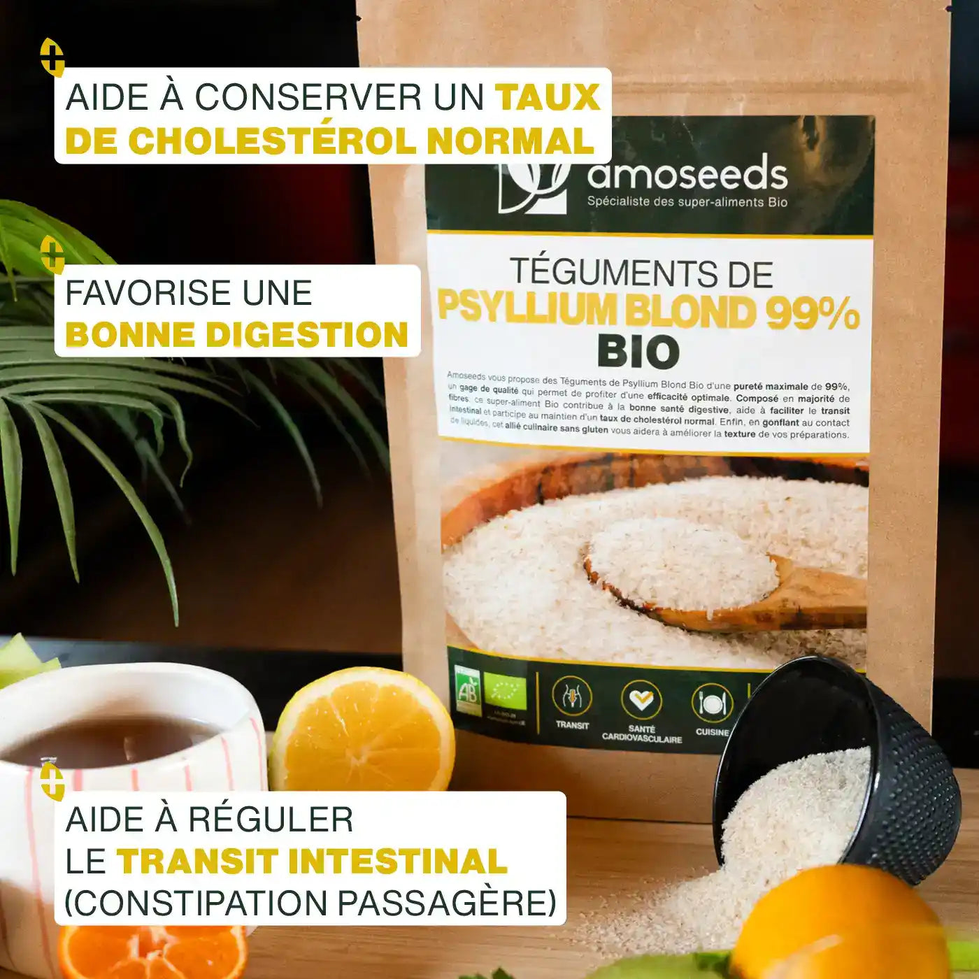 amoseeds-psyllium-blond-bio-t-guments-500g-transit image 2