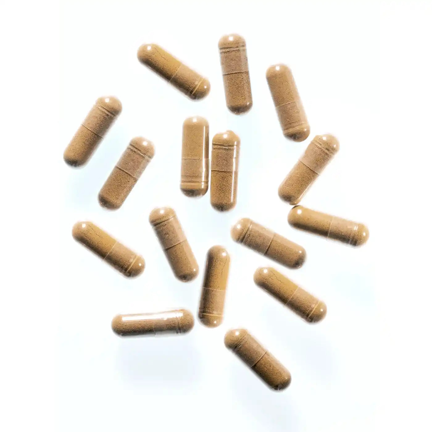 amoseeds-rhodiola-bio-90-g-lules-anti-stress-humeur image 5