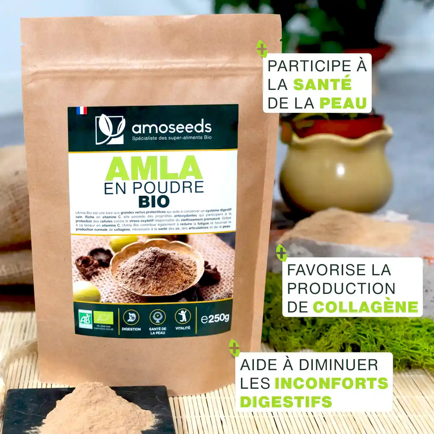 amoseeds-amla-bio-poudre-250g-peau-cheveux-vitamine-c image 2