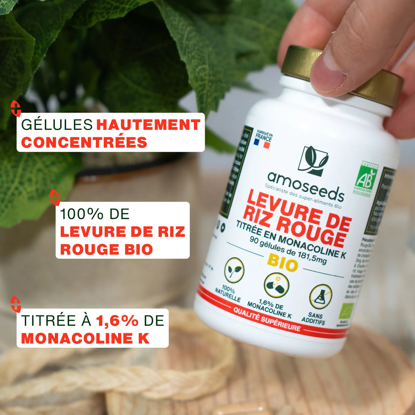 amoseeds-levure-de-riz-rouge-bio-90-g-lules-vegan image 2