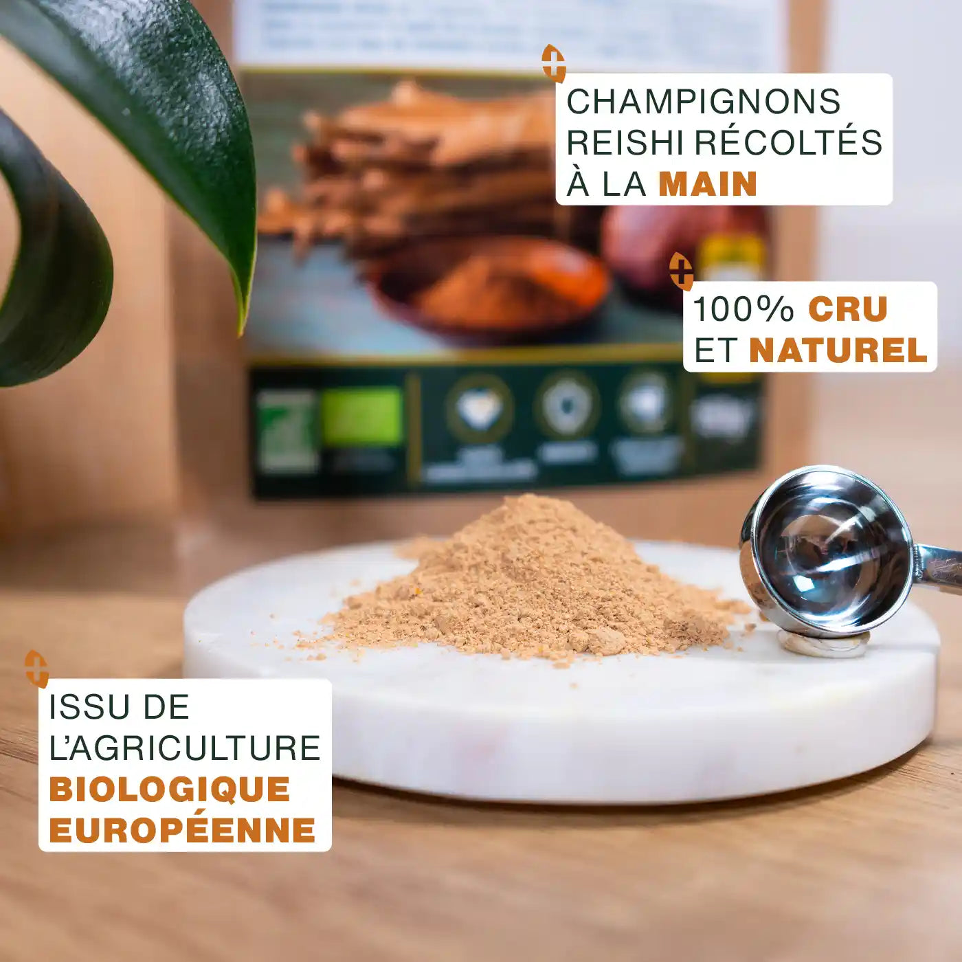 amoseeds-super-aliments-bio-reishi-poudre-bio-50g-immunit image 3