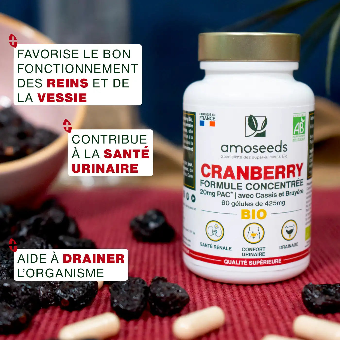 amoseeds-g-lules-cranberry-bio-60-g-lules-urinaire image 2