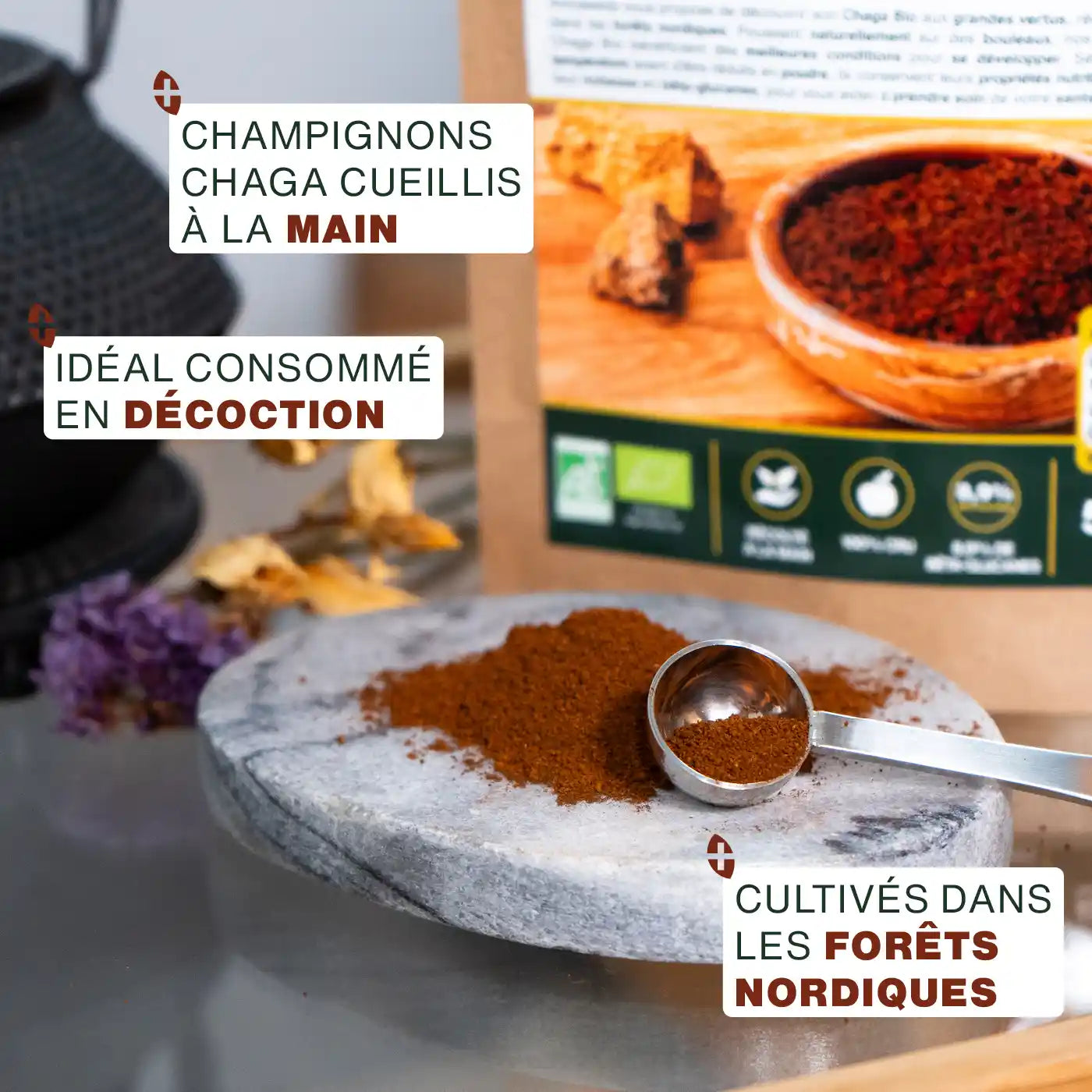 amoseeds-chaga-poudre-bio-bois-b-ta-glucanes image 4
