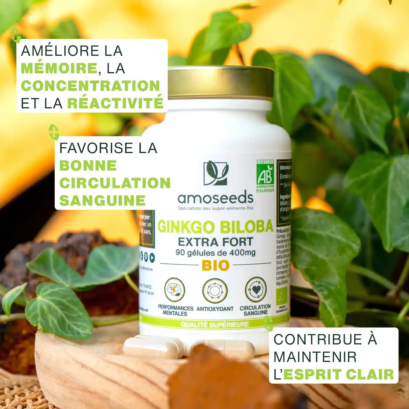 amoseeds-ginkgo-biloba-bio-90-g-lules-m-moire image 2