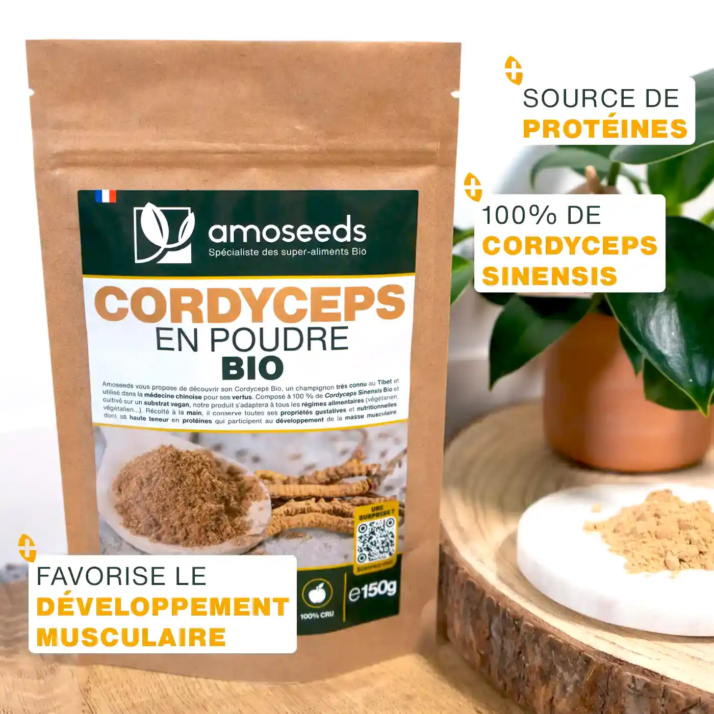 amoseeds-cordyceps-poudre-bio-sport-immunit image 3