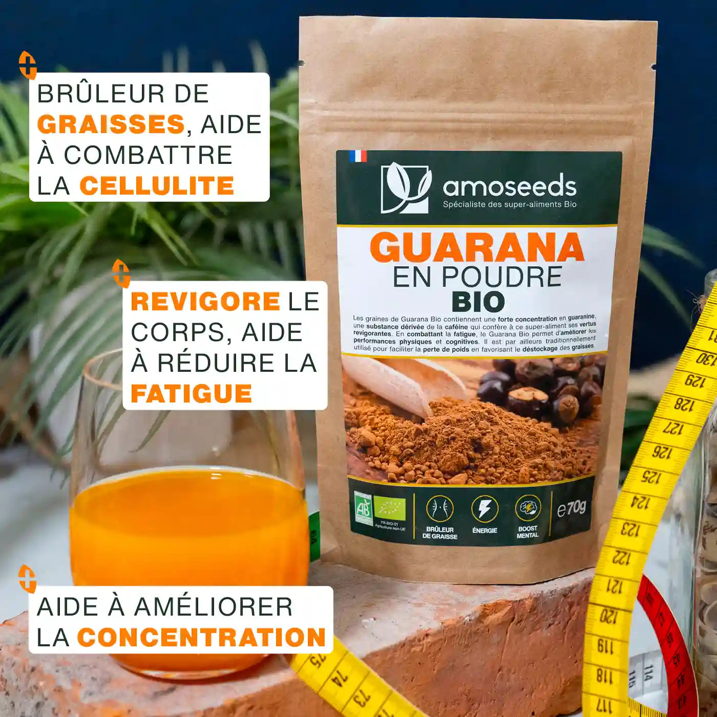 amoseeds-guarana-bio-poudre-70g-nergie image 2