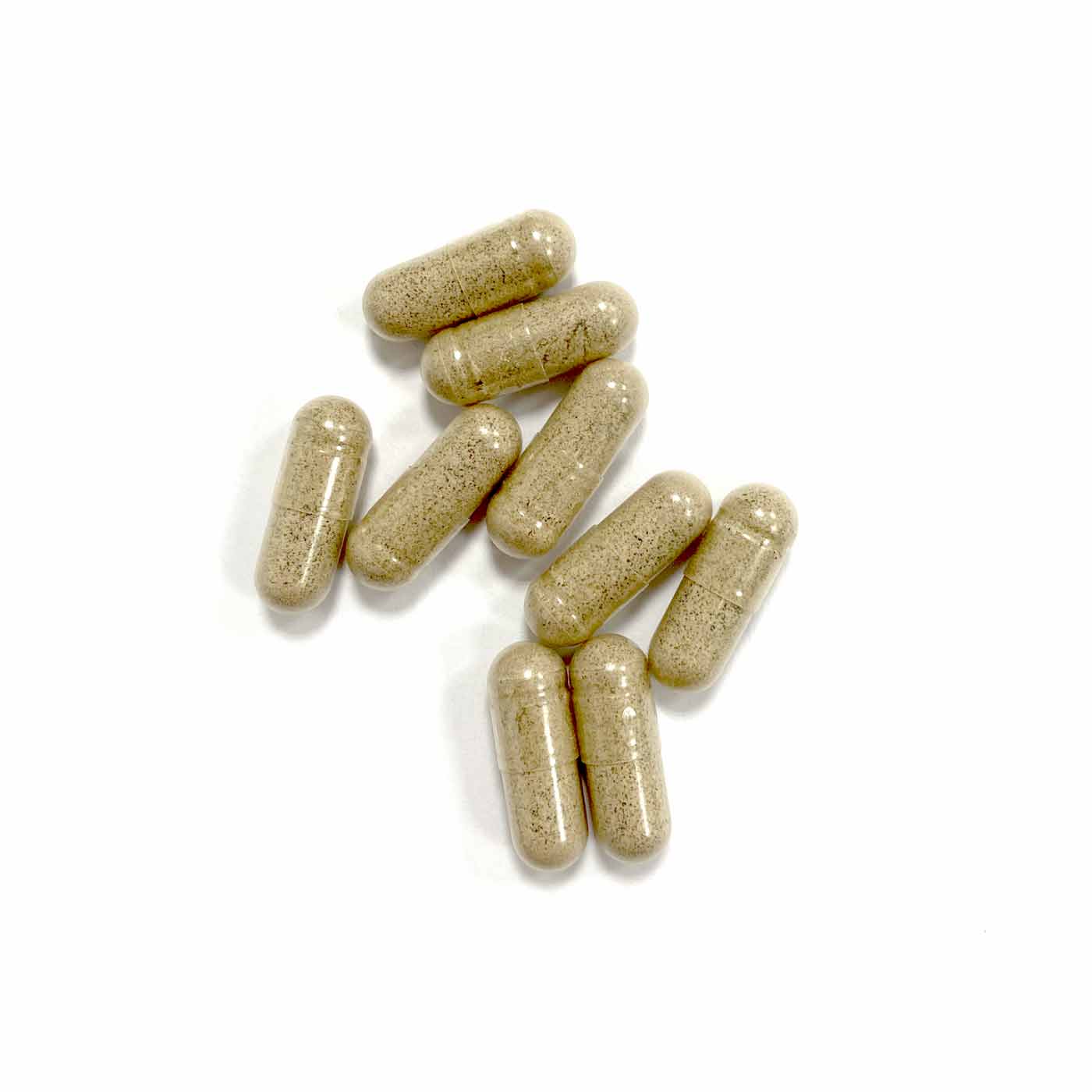 amoseeds-ginkgo-biloba-bio-90-g-lules-m-moire image 5